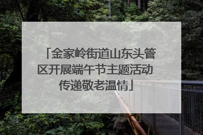 金家岭街道山东头管区开展端午节主题活动 传递敬老温情