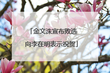 金文洙宣布败选 向李在明表示祝贺