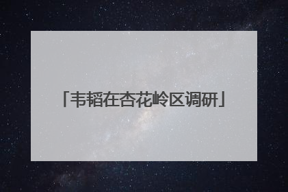 韦韬在杏花岭区调研