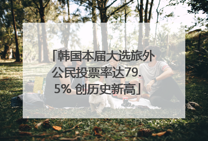 韩国本届大选旅外公民投票率达79.5% 创历史新高
