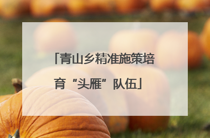 青山乡精准施策培育“头雁”队伍