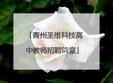 青州圣维科技高中教师招聘简章