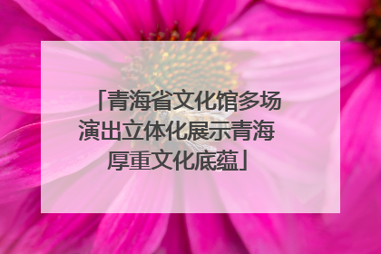 青海省文化馆多场演出立体化展示青海厚重文化底蕴