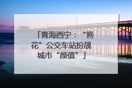 青海西宁:“簪花”公交车站扮靓城市“颜值”