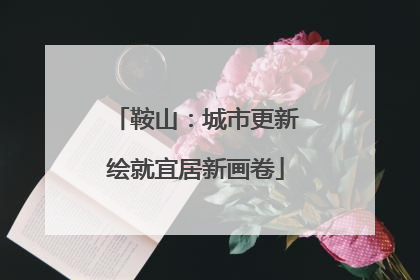 鞍山：城市更新绘就宜居新画卷