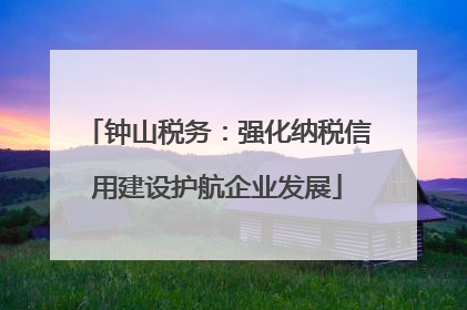 钟山税务：强化纳税信用建设护航企业发展
