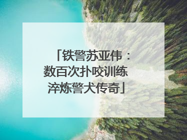 铁警苏亚伟：数百次扑咬训练淬炼警犬传奇