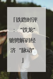 铁路时评：“铁龙”驰骋解码经济“脉动”