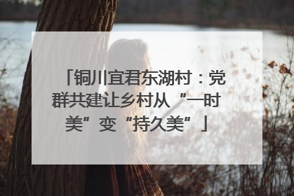 铜川宜君东湖村：党群共建让乡村从“一时美”变“持久美”