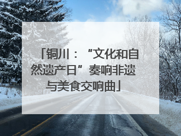 铜川：“文化和自然遗产日”奏响非遗与美食交响曲