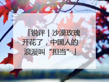 锐评｜沙漠玫瑰开花了，中国人的浪漫叫“担当”