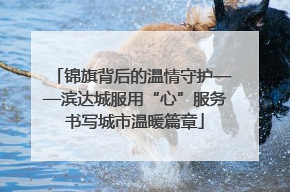 锦旗背后的温情守护——滨达城服用“心”服务书写城市温暖篇章