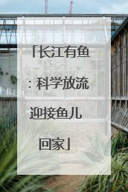 长江有鱼：科学放流 迎接鱼儿回家