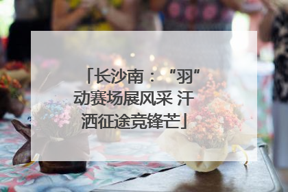 长沙南：“羽”动赛场展风采 汗洒征途竞锋芒