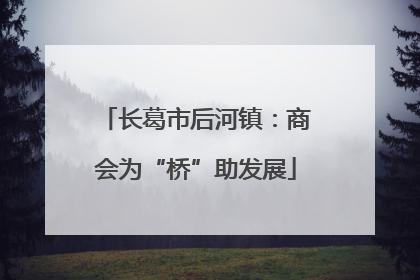 长葛市后河镇：商会为“桥”助发展