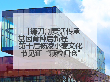 镰刀割麦话传承 基因育种启新程——第十届杨凌小麦文化节见证“颗粒归仓”时空跨越