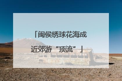 闽侯绣球花海成近郊游“顶流”