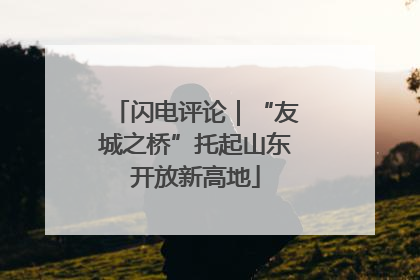 闪电评论｜“友城之桥”托起山东开放新高地