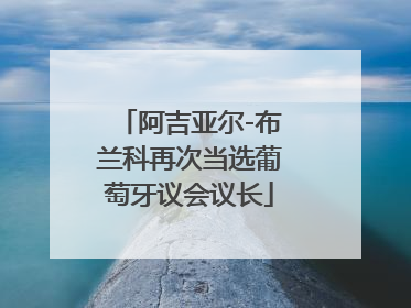 阿吉亚尔-布兰科再次当选葡萄牙议会议长
