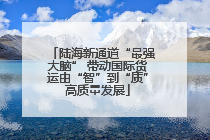 陆海新通道“最强大脑” 带动国际货运由“智”到“质”高质量发展