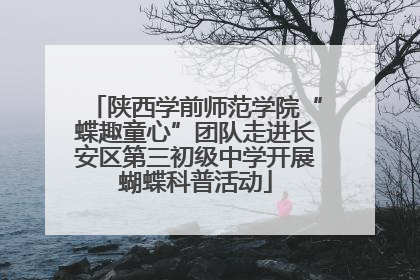 陕西学前师范学院“蝶趣童心”团队走进长安区第三初级中学开展蝴蝶科普活动