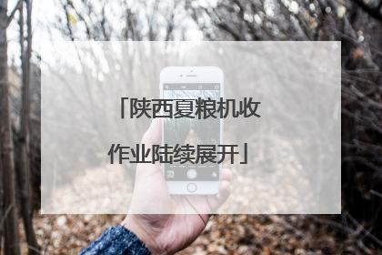 陕西夏粮机收作业陆续展开