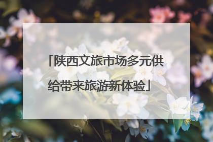 陕西文旅市场多元供给带来旅游新体验