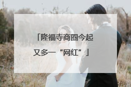 隆福寺商圈今起又多一“网红”