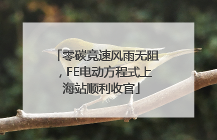 零碳竞速风雨无阻，FE电动方程式上海站顺利收官