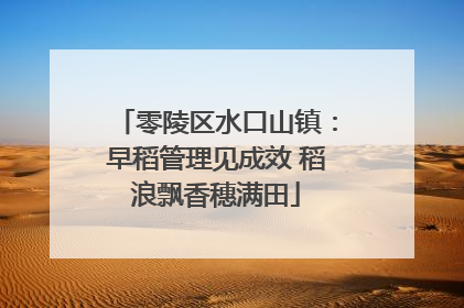 零陵区水口山镇：早稻管理见成效 稻浪飘香穗满田