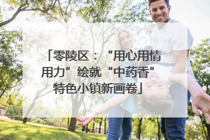 零陵区：“用心用情用力”绘就“中药香”特色小镇新画卷