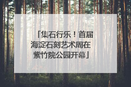 集石行乐！首届海淀石刻艺术周在紫竹院公园开幕