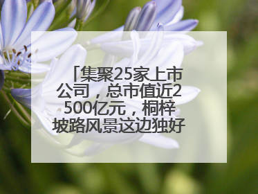集聚25家上市公司，总市值近2500亿元，桐梓坡路风景这边独好——长沙有条“上市路”