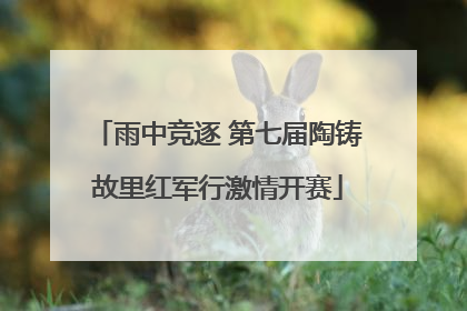 雨中竞逐 第七届陶铸故里红军行激情开赛