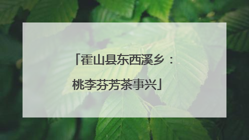 霍山县东西溪乡：桃李芬芳茶事兴