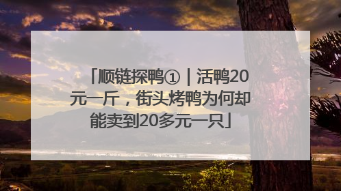 顺链探鸭①｜活鸭20元一斤，街头烤鸭为何却能卖到20多元一只