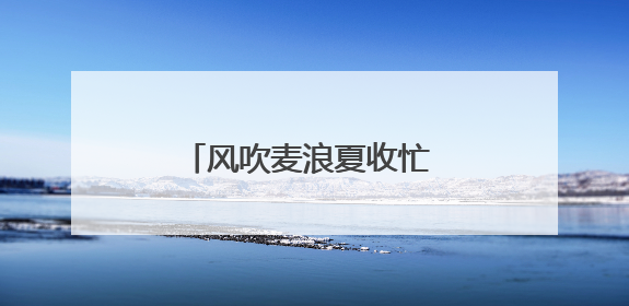 风吹麦浪夏收忙 河南老兵保粮仓