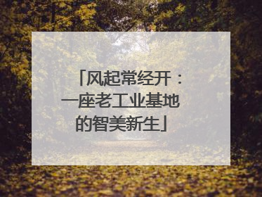风起常经开：一座老工业基地的智美新生