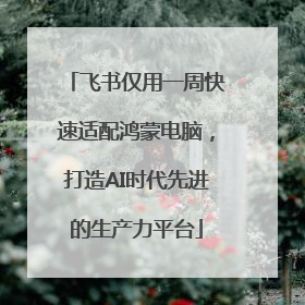 飞书仅用一周快速适配鸿蒙电脑，打造AI时代先进的生产力平台