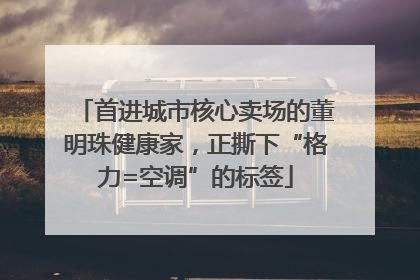 首进城市核心卖场的董明珠健康家，正撕下“格力=空调”的标签