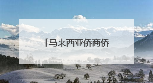 马来西亚侨商侨领广西研修 学中医看非遗谋发展