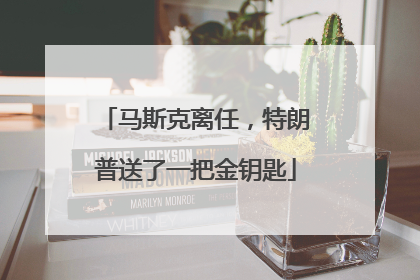 马斯克离任，特朗普送了一把金钥匙