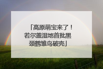 高原萌宝来了！若尔盖湿地首批黑颈鹤雏鸟破壳