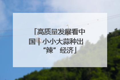 高质量发展看中国｜小小大蒜种出“辣”经济