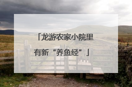 龙游农家小院里有新“养鱼经”