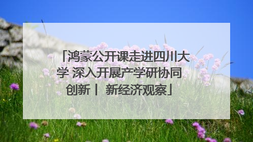 鸿蒙公开课走进四川大学 深入开展产学研协同创新丨 新经济观察