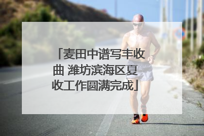 麦田中谱写丰收曲 潍坊滨海区夏收工作圆满完成