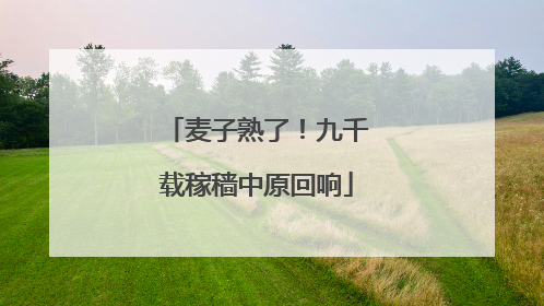 麦子熟了！九千载稼穑中原回响