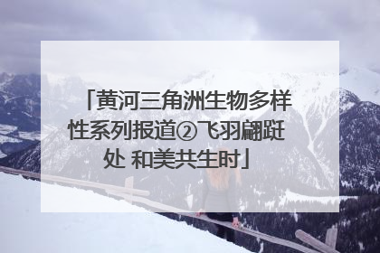 黄河三角洲生物多样性系列报道②飞羽翩跹处 和美共生时