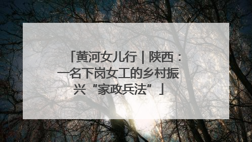 黄河女儿行｜陕西：一名下岗女工的乡村振兴“家政兵法”